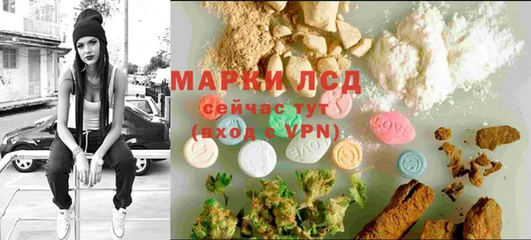 гидра Алексин
