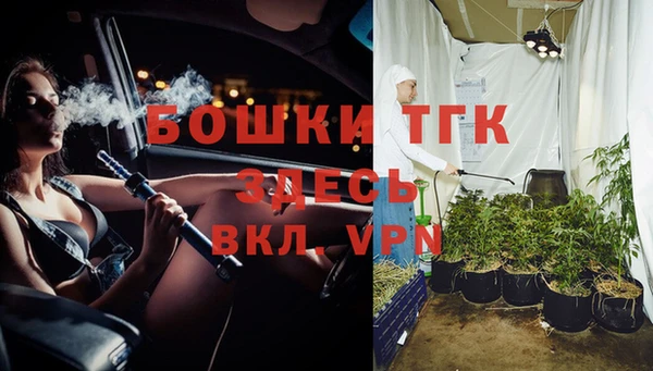 гидра Алексин