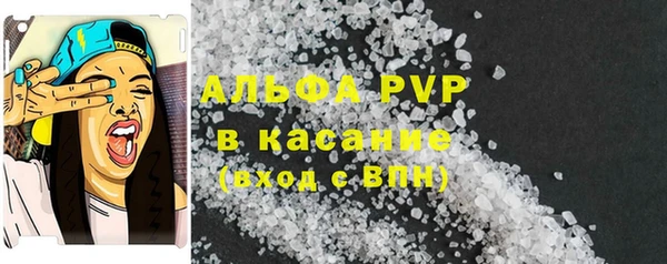 гидра Алексин