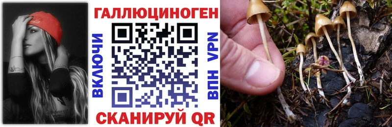 площадка формула  даркнет сайт  Анива  Псилоцибиновые грибы Cubensis 
